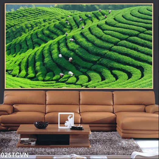 Tranh cánh đồng trà 025TCVN