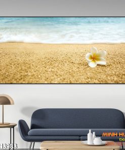 Tranh hoa sứ trên bãi biển TGH3983