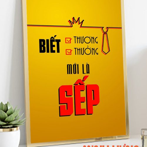 Biết thương biết thưởng mới là sếp TDL003