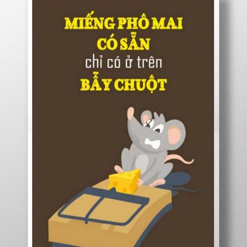 Miếng phô mai có sẵn TDL238