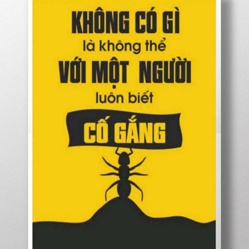 Không có gì là không thể TDL319
