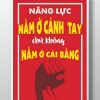 Năng lực nằm ở cánh tay TDL371