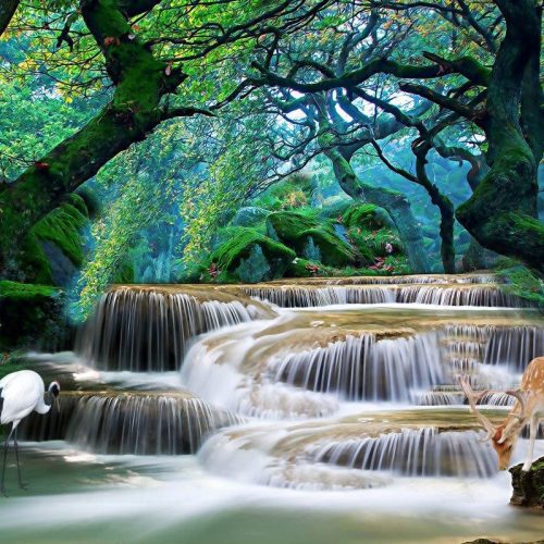 Tranh dán tường rừng nhiệt đới TGTV_TV8958