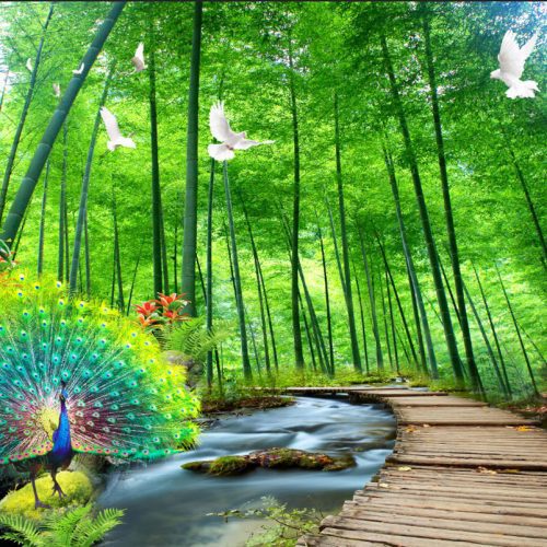 Tranh dán tường thiên nhiên TGTV_FT1665
