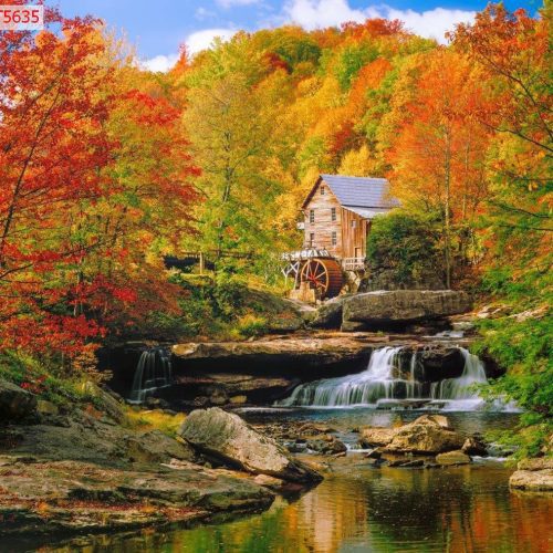 Tranh dán tường thiên nhiên mùa thu TGTV_FT5635