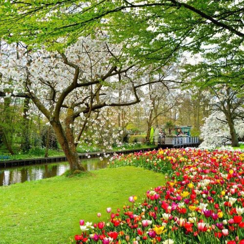 Tranh dán tường phong cảnh thiên nhiên TGTV_FT2078