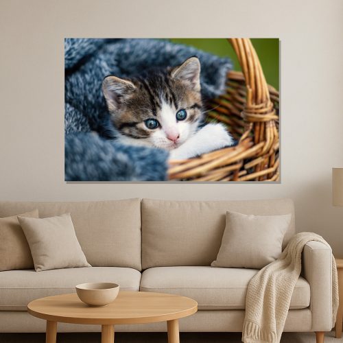 Mockup Mèo con mắt xanh nằm trong giỏ đan ấm áp