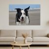 Mockup Chân dung chó Border Collie trên nền biển mờ
